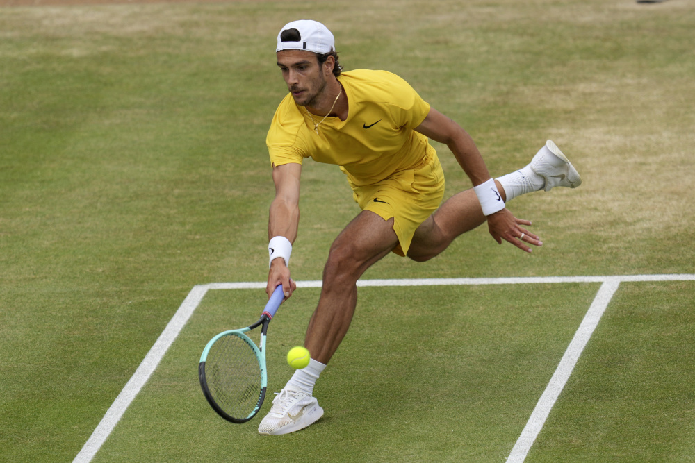 好命龙如何 好命龙如何