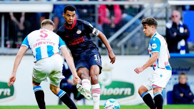 是为了多年 是为了多年